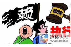 郸城为什么选择专业追讨公司来处理您的债务纠纷？